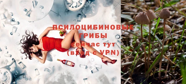 первитин Вяземский